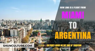 Miami to Argentina: Estimating Your Flight Duration