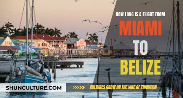 Miami to Belize: Quick Flight Guide