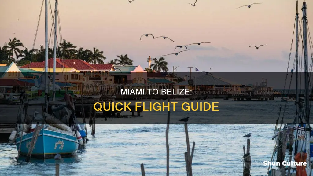 how long is a flight from miami to belize