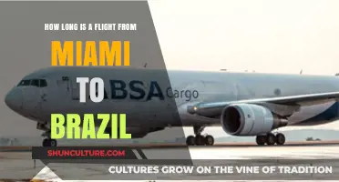 Miami to Brazil Flight Duration: What to Expect in the Air