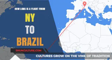 Flight Duration: New York to Brazil Travel Time Explained