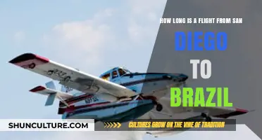 San Diego to Brazil Flight Duration: What to Expect