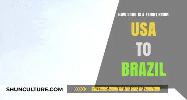 USA to Brazil Flight Duration: What to Expect in the Air