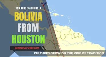 Houston to Bolivia: Flight Duration Explored