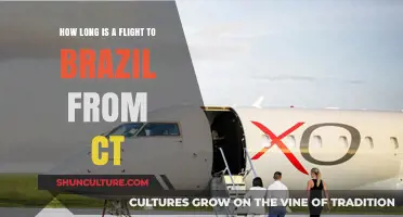 Connecticut to Brazil: Flight Duration and Travel Tips Revealed