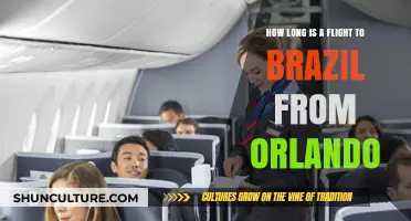 Orlando to Brazil Flight Duration: What to Expect in the Air