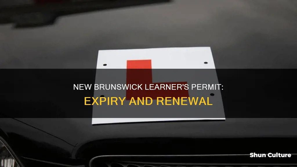 how long is alerners permit valid in new brunswick