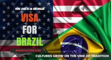 Understanding American Visa Duration for Brazilian Citizens: A Comprehensive Guide