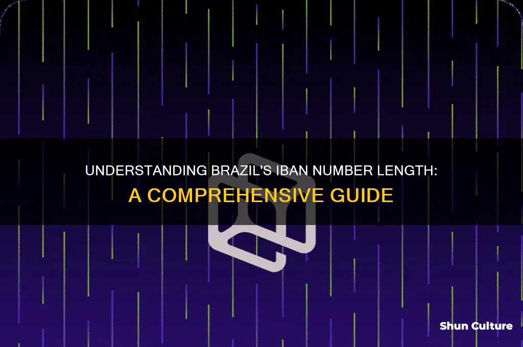 how long is an iban number in brazil