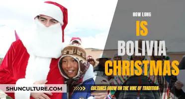 Bolivia's Christmas: A Festive Season Like No Other