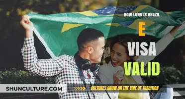 Brazil E-Visa Validity: Duration and Renewal Guide for Travelers