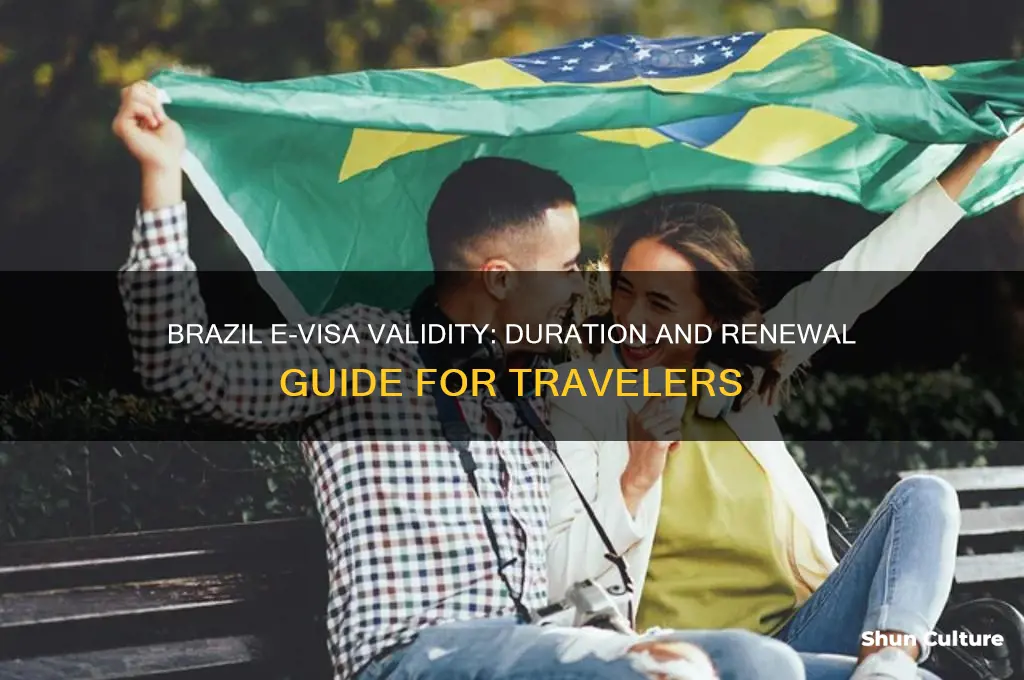 how long is brazil e visa valid