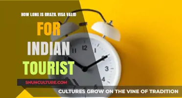 Brazil Tourist Visa Validity for Indian Travelers: Duration Explained