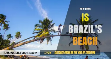 Exploring Brazil's Stunning Coastline: How Long Are Its Beaches?