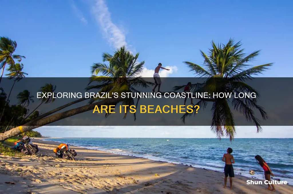 how long is brazil