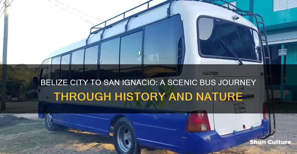 how long is bus from belize city to san ignacio