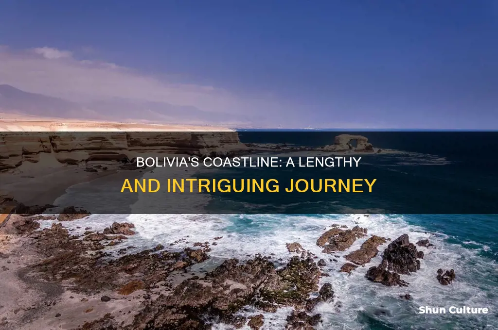 how long is coastline in bolivia