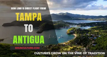 Tampa to Antigua: Direct Flight Duration Explained