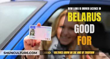 Belarusian Driver's License: Validity and Renewal Requirements