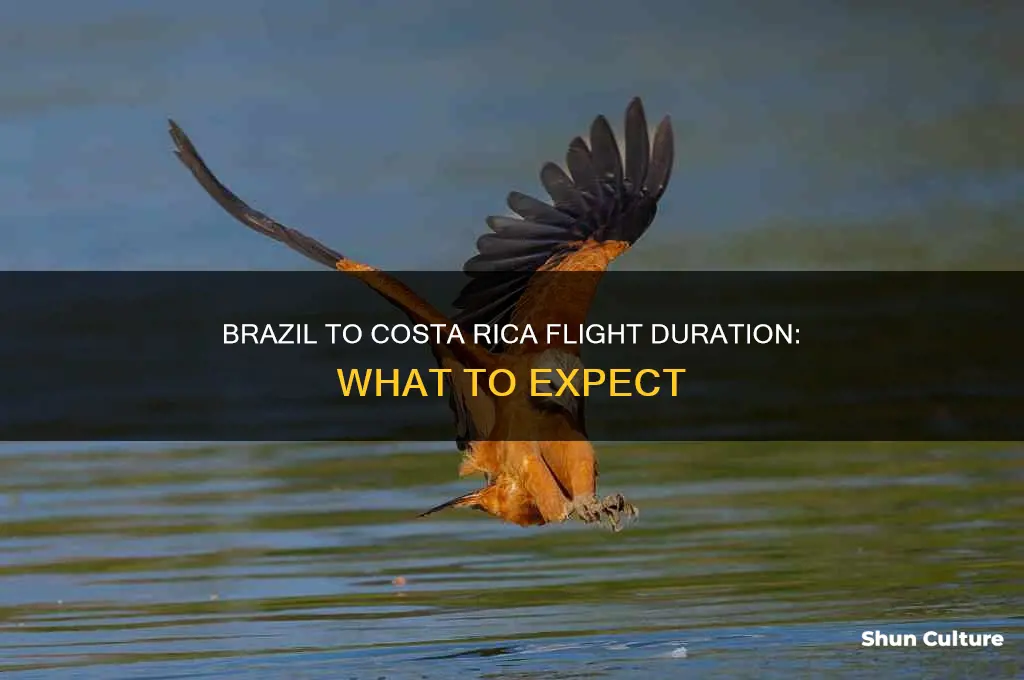 how long is flight from brazil to costa rica