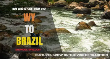 Cody, WY to Brazil: Flight Duration and Travel Tips