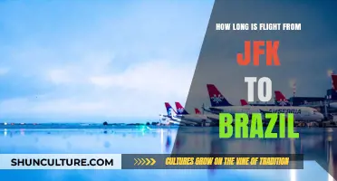 JFK to Brazil Flight Duration: What to Expect in the Air