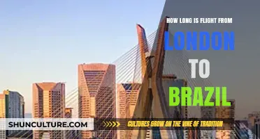 London to Brazil Flight Duration: What to Expect in the Air