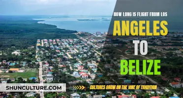 The Long Haul: Exploring the LA-Belize Flight Route