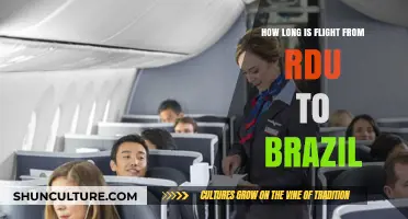 RDU to Brazil Flight Duration: What to Expect in the Air