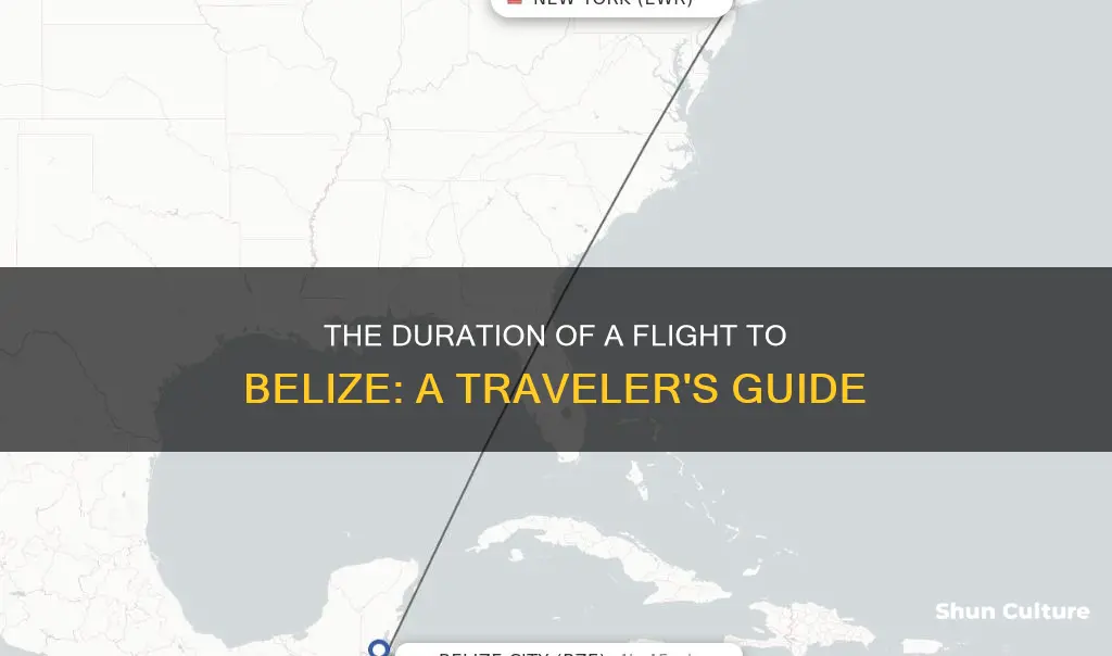 how long is flight to belize from nj