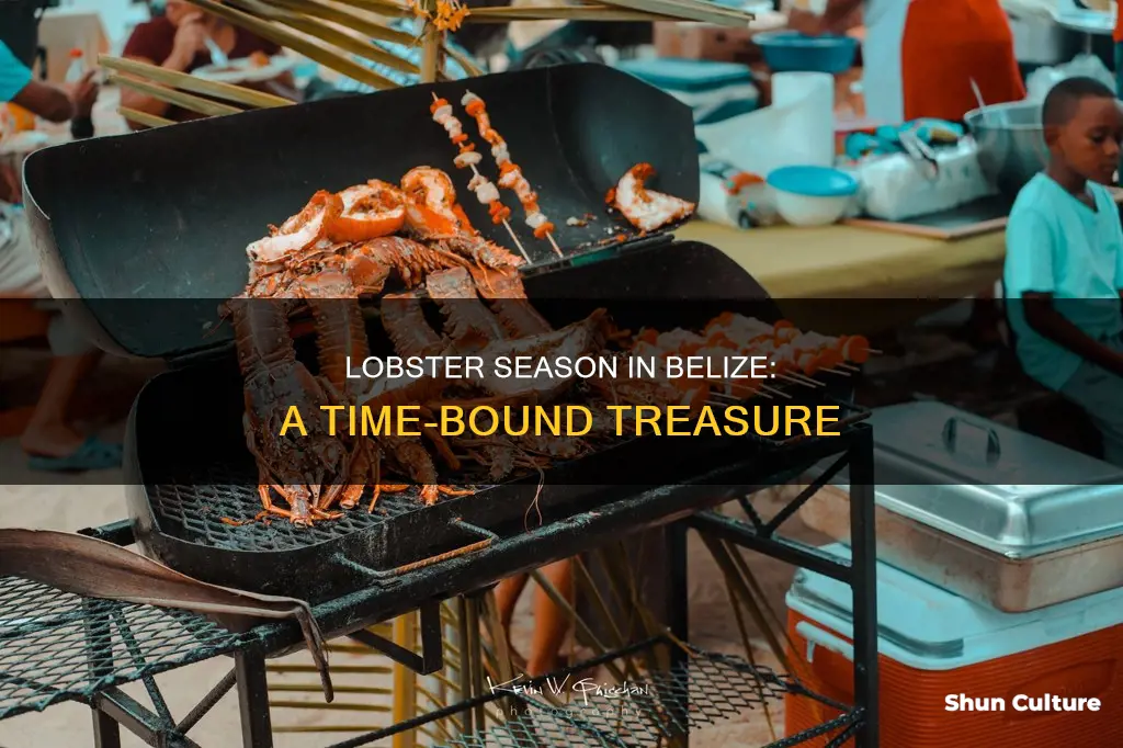 how long is lobster season in belize