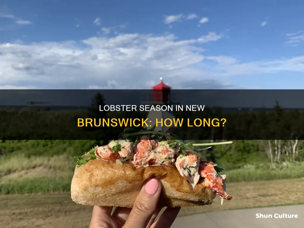 how long is lobster season in new brunswick