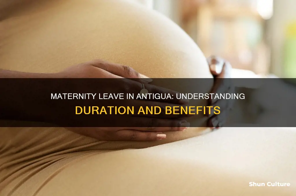 how long is maternity leave in antigua