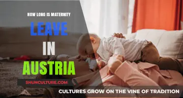 Maternity Leave Duration: Austria's Parental Leave Policy Explained