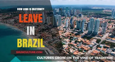 Understanding Brazil's Maternity Leave Duration and Benefits for New Moms