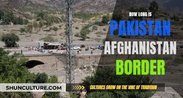 The Uncertain Divide: Navigating Pakistan's Porous Border with Afghanistan