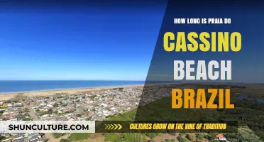 Discovering the Length of Praia do Cassino Beach in Brazil