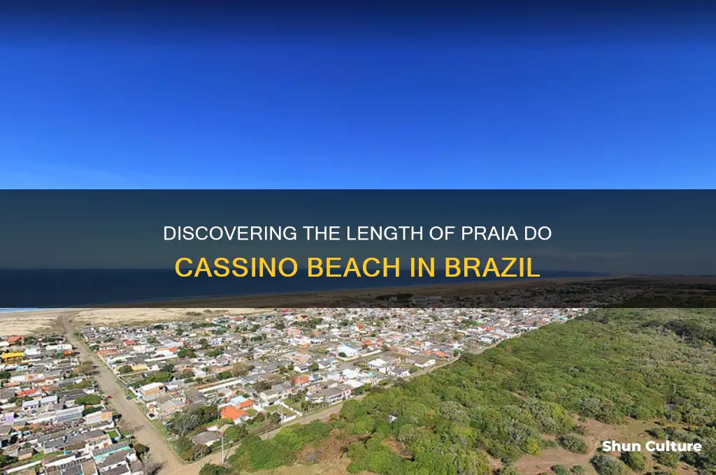 how long is praia do cassino beach brazil