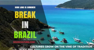 Brazil's Summer Break Duration: How Long Do Students Get Off?