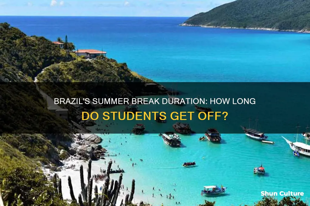 how long is summer break in brazil
