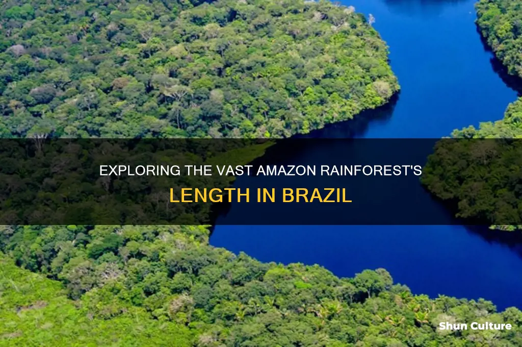 how long is the amazon rainforest in brazil