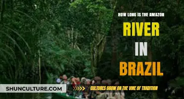 Exploring the Length of Brazil's Majestic Amazon River