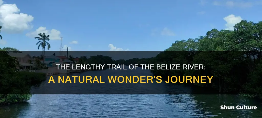 how long is the belize river