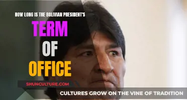 Exploring Bolivia's Presidential Term Limits