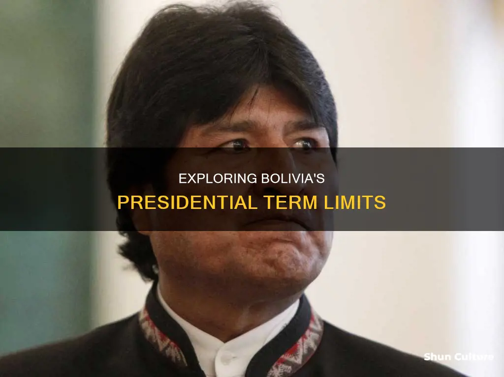 how long is the bolivian president