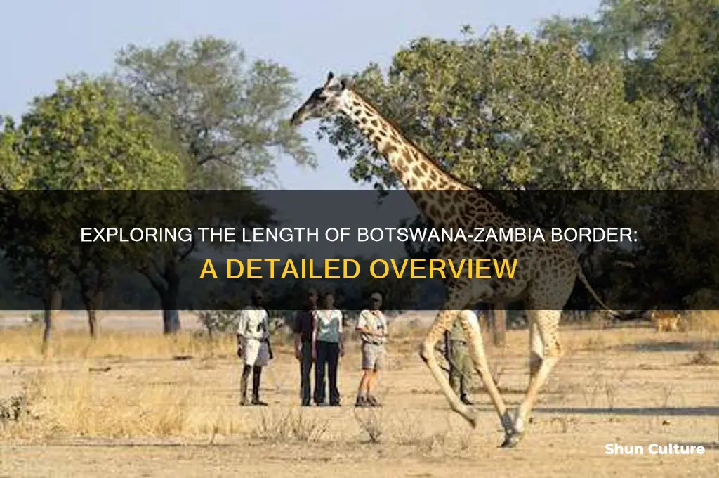 how long is the border between botswana and zambia