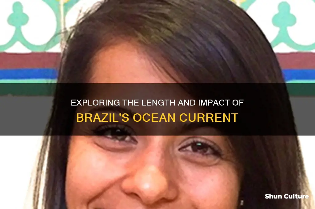 how long is the brazil current