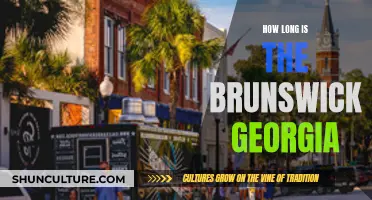 The Brunswick Georgia: A Lengthy Coastal Beauty