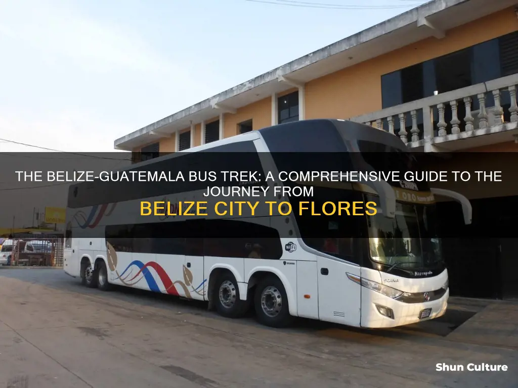 how long is the bus from belize city to flores