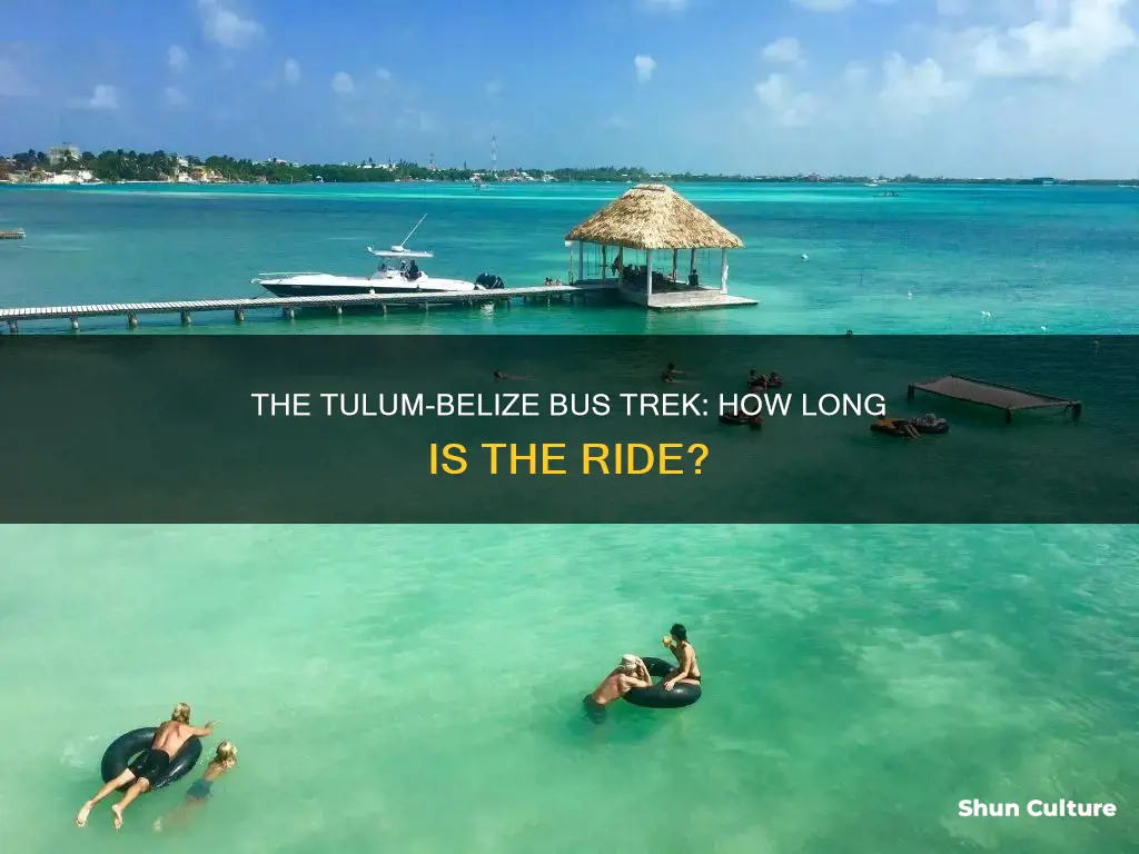 how long is the bus from tulum to belize